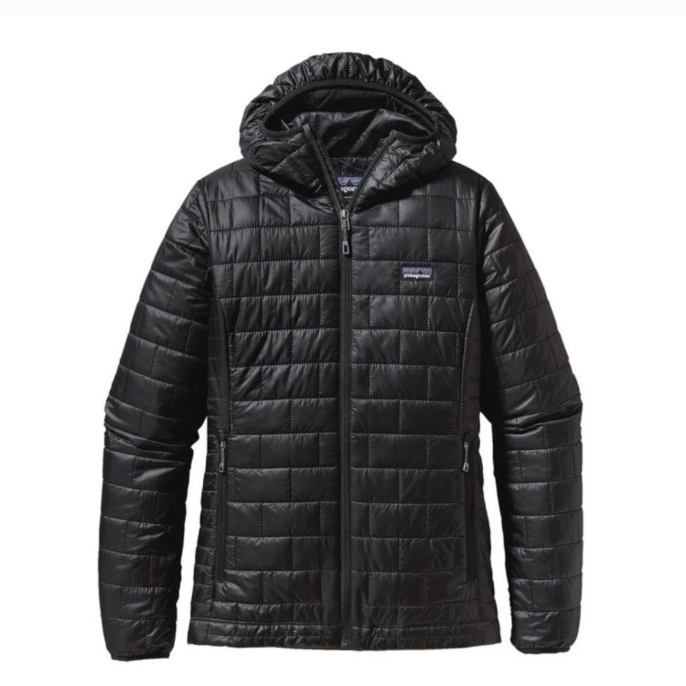 Patagonia Nano Puff Hoodie